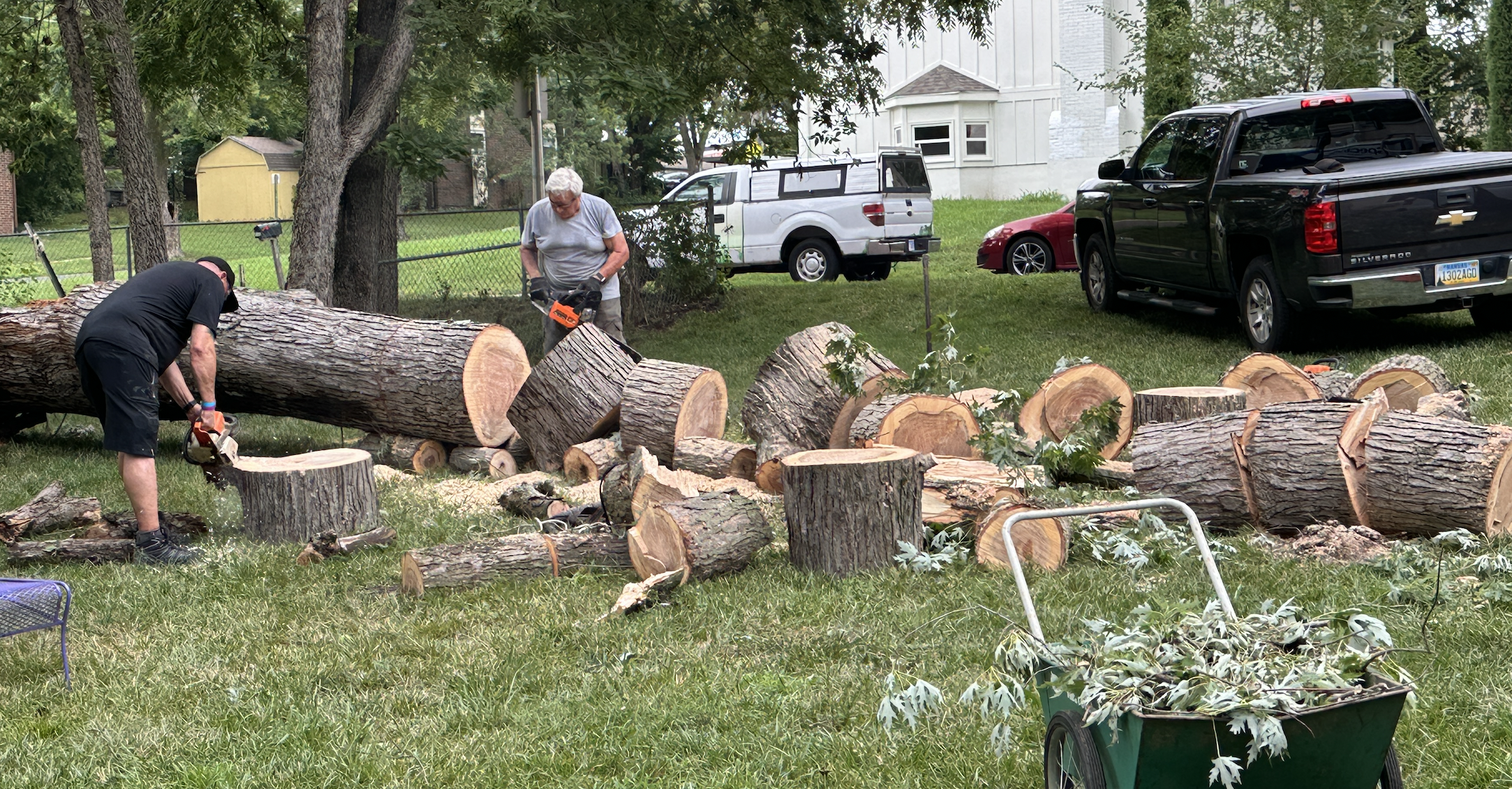 Tree cutting service